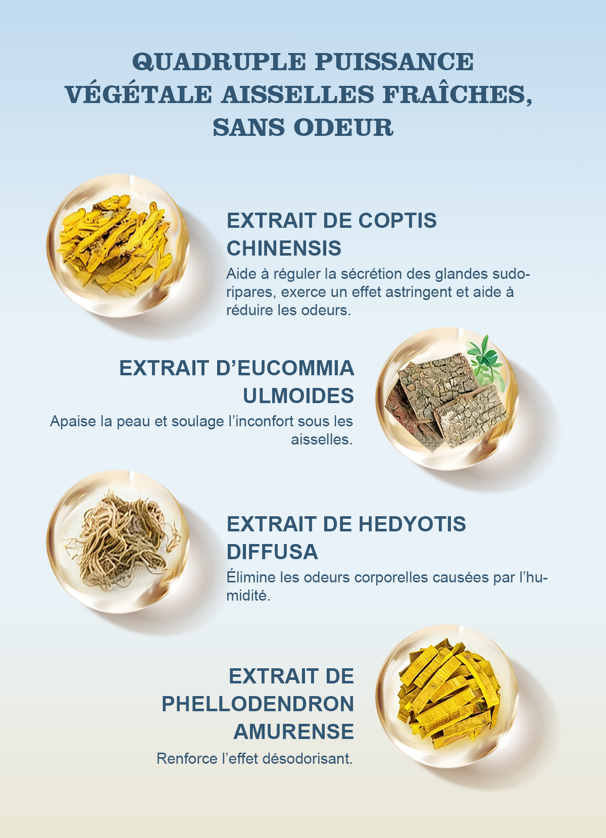 Deozen - 14 Jours de Fraîcheur en une Utilisation